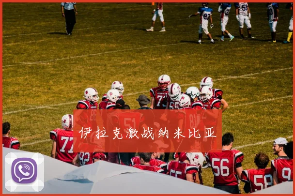 伊拉克激战纳米比亚