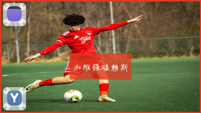 加维强碰赖斯