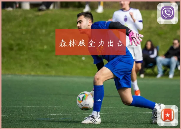 森林狼全力出击
