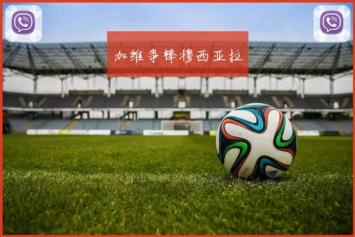 加维争锋穆西亚拉