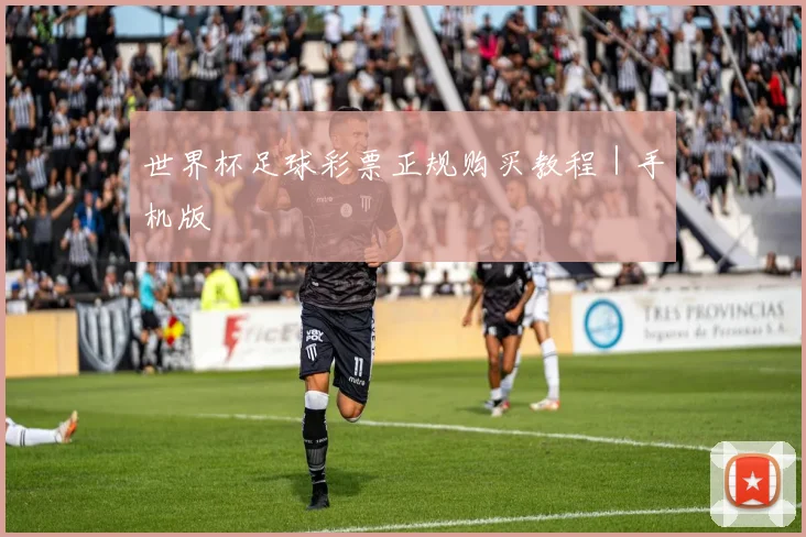 世界杯足球彩票正规购买教程｜手机版